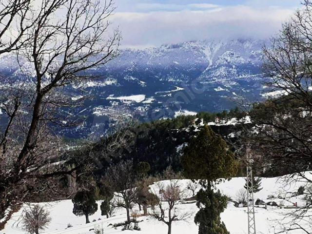 Yeni Konacık, Pozantı içerisinde satılık Arsa