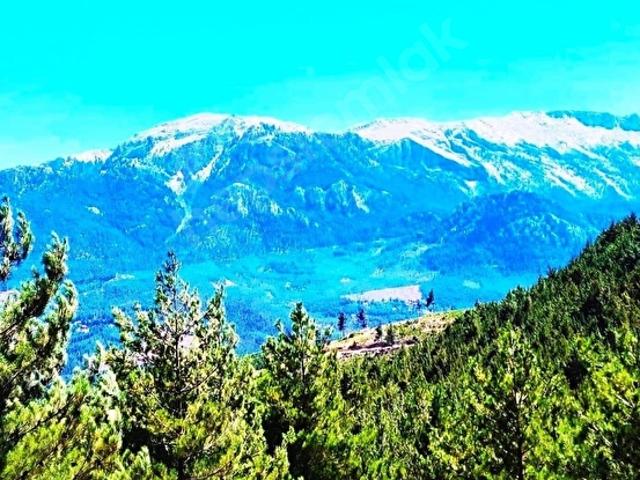 Pozanti, Adana içerisinde satılık Arsa