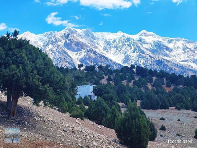 Dağdibi, Pozantı içerisinde satılık Arsa
