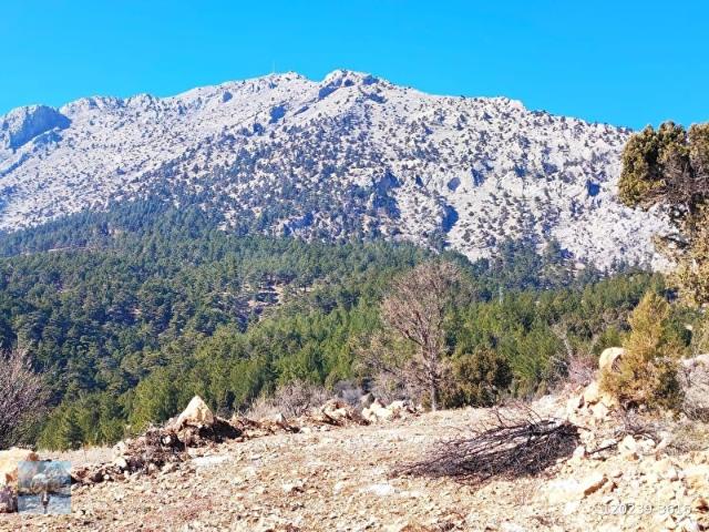 Pozanti, Adana içerisinde satılık Arsa