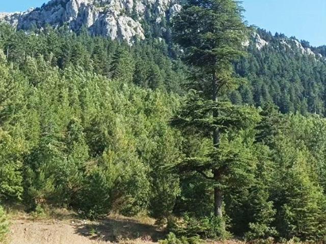 Pozanti, Adana içerisinde satılık Arsa