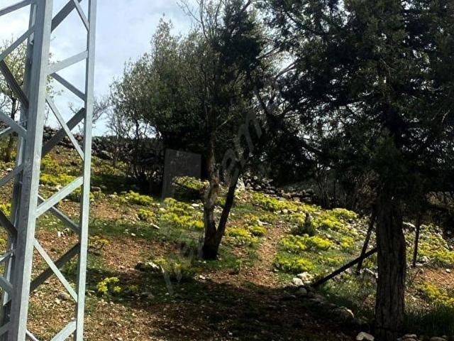 Tarsus, Mersin içerisinde satılık Arsa