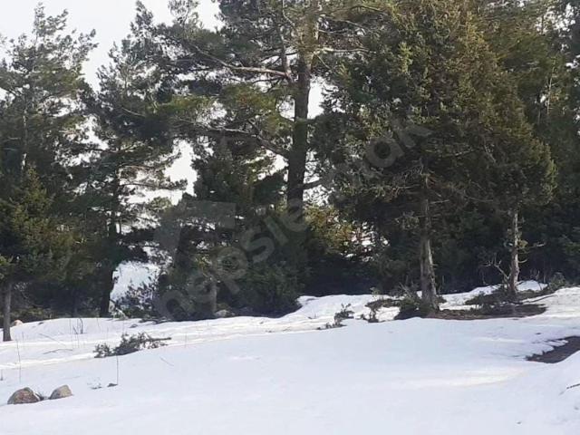 Yeni Konacık, Pozantı içerisinde satılık Arsa