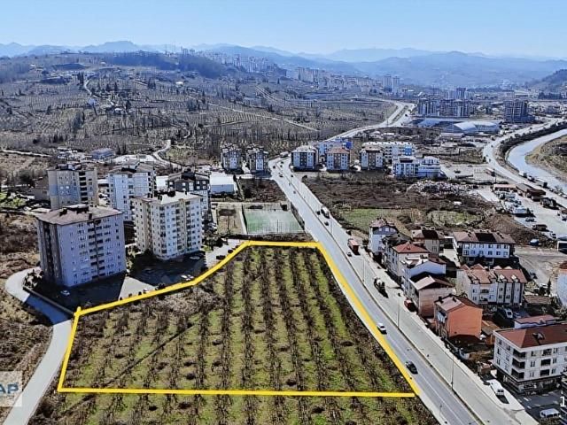 Ordu, Altınordu içerisinde satılık Dükkan