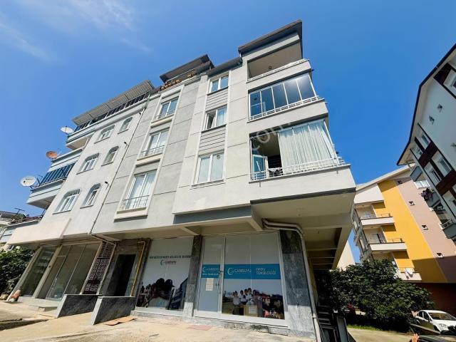 Ordu, Altınordu içerisinde kiralık mülk