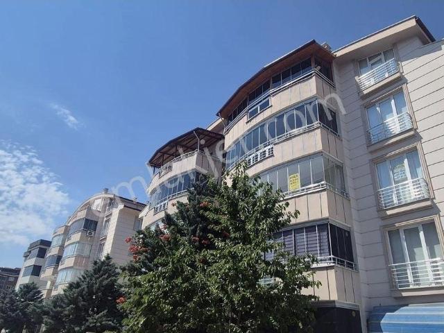 Tokat Merkez, Tokat içerisinde kiralık mülk