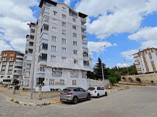 Tokat Merkez, Tokat içerisinde kiralık mülk