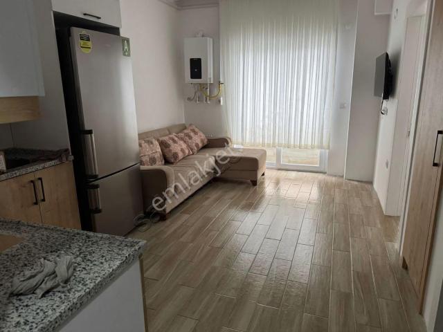 Ordu içerisinde kiralık mülk