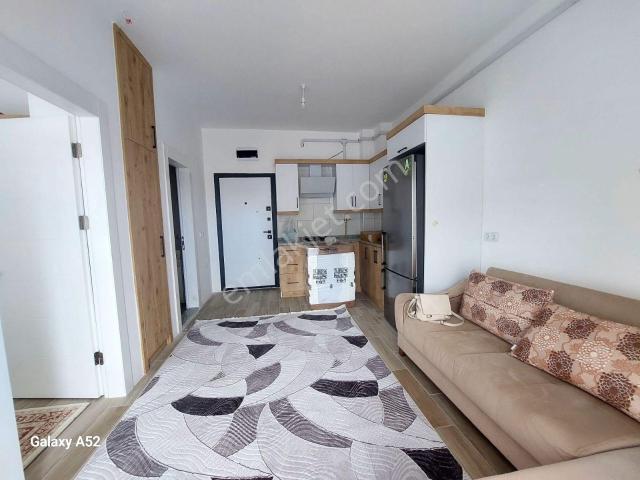 Ordu içerisinde kiralık mülk