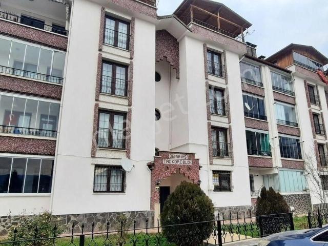 Tokat Merkez, Tokat içerisinde kiralık mülk