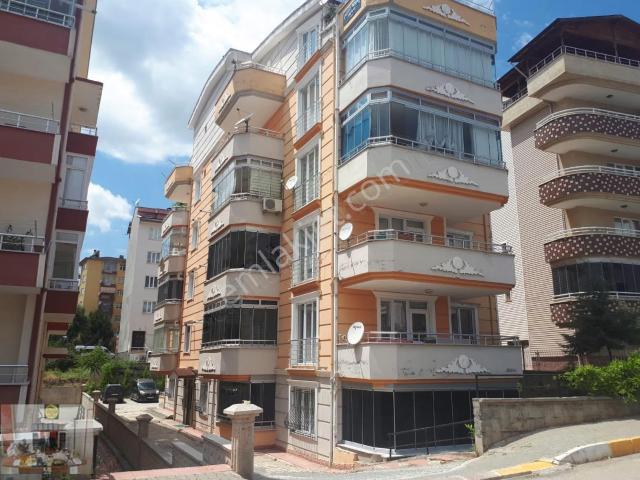 Tokat Merkez, Tokat içerisinde kiralık mülk
