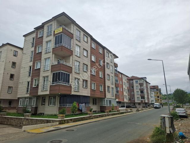 Ordu içerisinde kiralık mülk