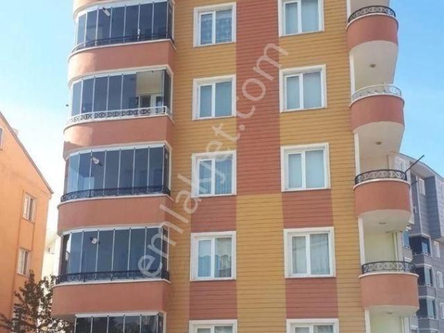 Tokat Merkez, Tokat içerisinde kiralık mülk