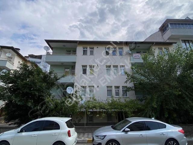 Tokat Merkez, Tokat içerisinde kiralık mülk