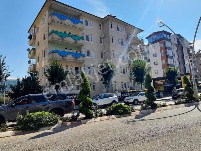 Tokat Merkez, Tokat içerisinde kiralık mülk
