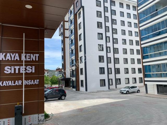 Tokat Merkez, Tokat içerisinde kiralık mülk