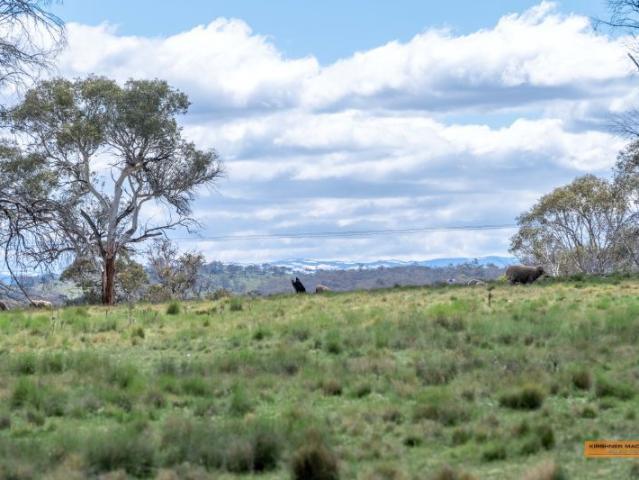 Cottage for sale in Avonside, New South Wales
