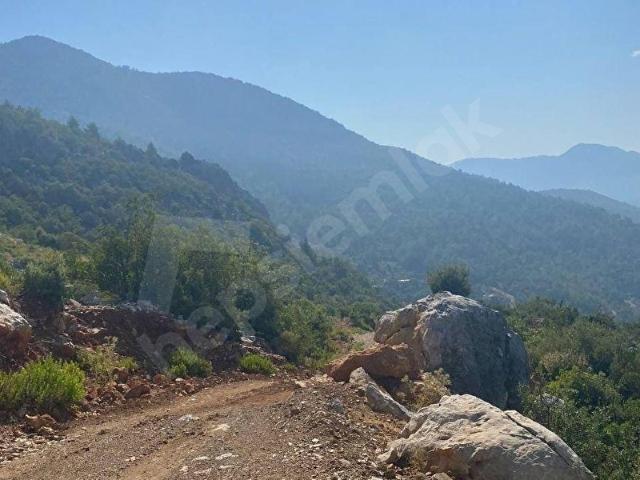 Tesbili, Gazipaşa içerisinde satılık Arsa