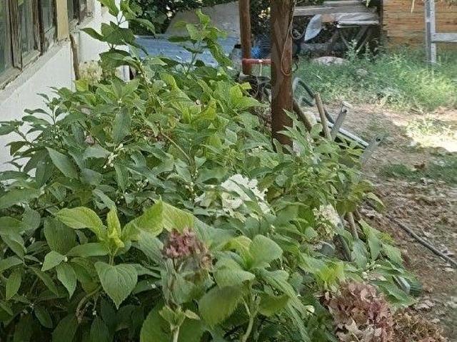 Muğla içerisinde satılık mülk