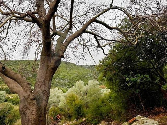 Anbarseki Mahallesi, Karaburun içerisinde satılık mülk