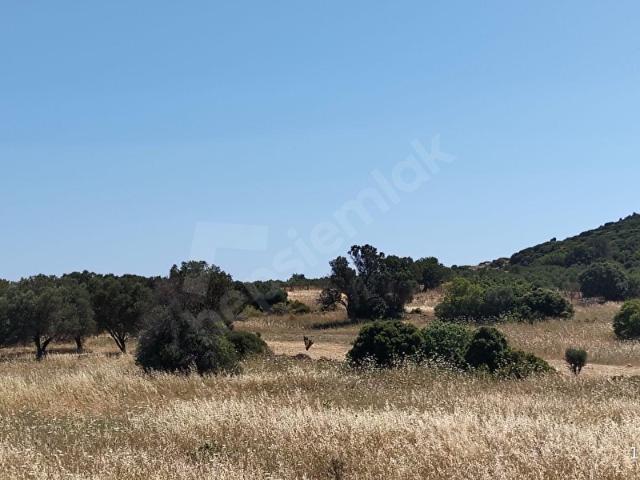 Karaburun, İzmir içerisinde satılık Arsa