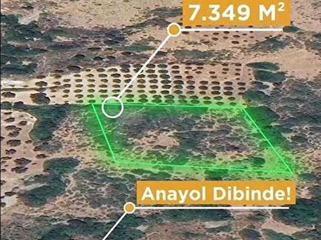 Bozköy Mahallesi, Karaburun içerisinde satılık Arsa