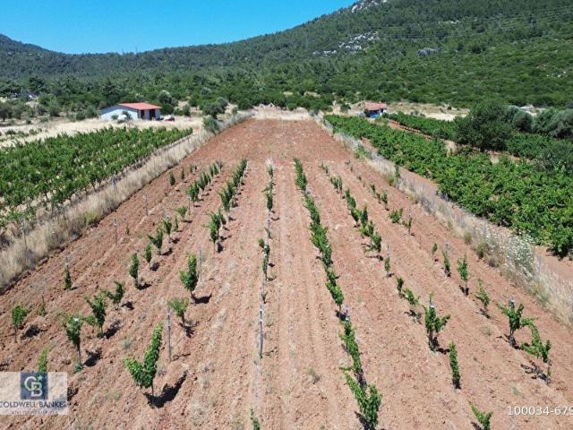 Karaburun, İzmir içerisinde satılık mülk