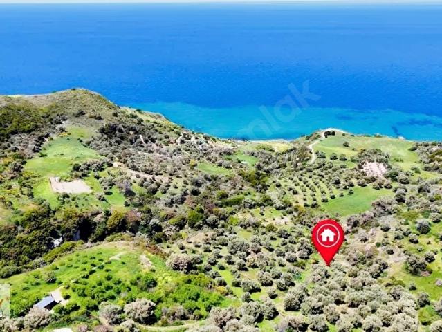 Karaburun, İzmir içerisinde satılık Arsa