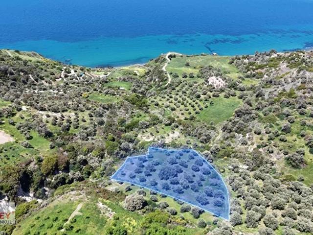 Karaburun, İzmir içerisinde satılık Arsa