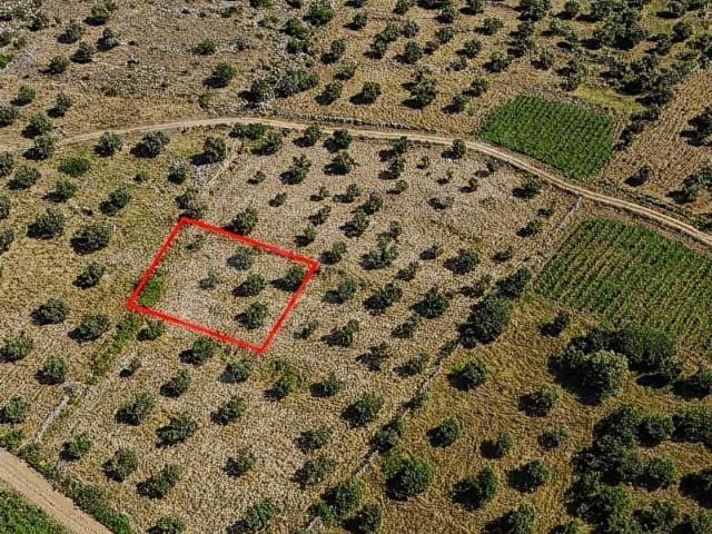 Karaburun, İzmir içerisinde satılık Arsa