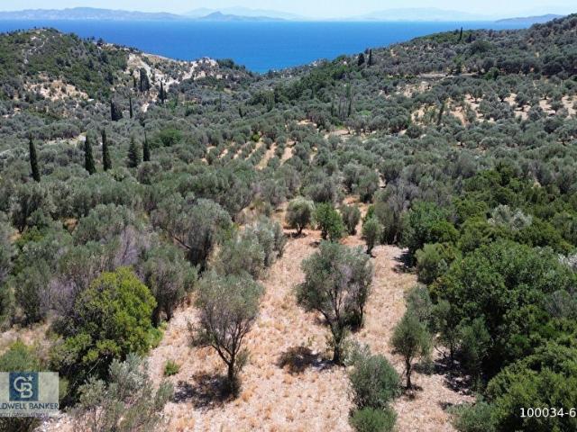 Karaburun, İzmir içerisinde satılık Arsa