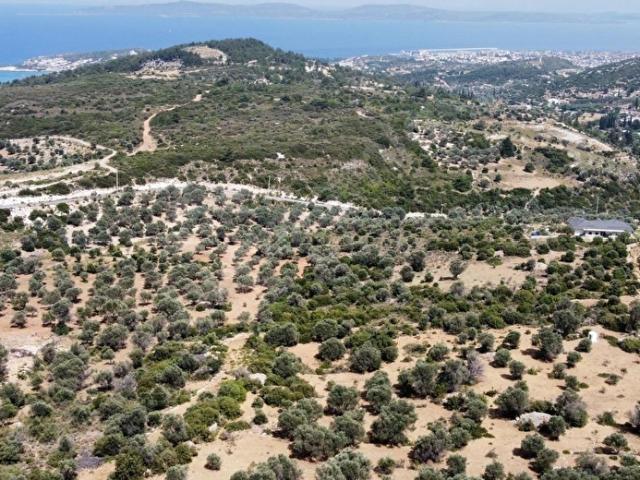 Karaburun, İzmir içerisinde satılık mülk
