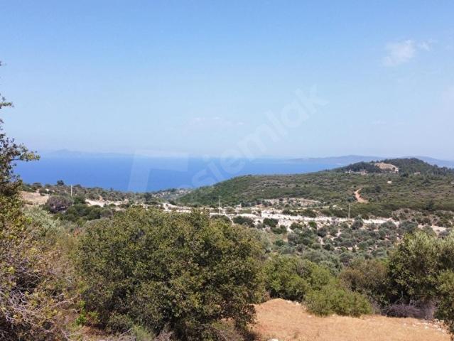 Karaburun, İzmir içerisinde satılık mülk