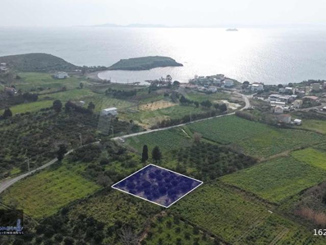 Karaburun, İzmir içerisinde satılık Arsa