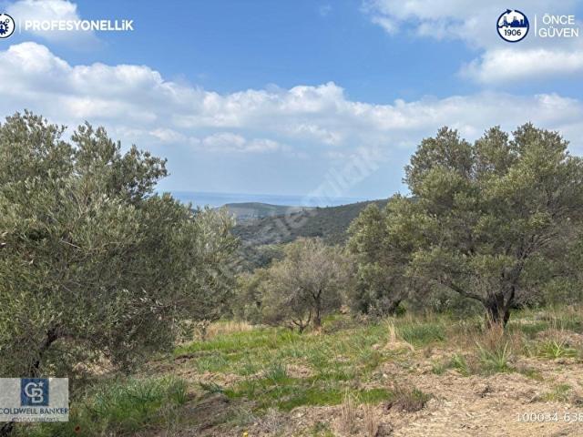 Karaburun, İzmir içerisinde satılık Arsa