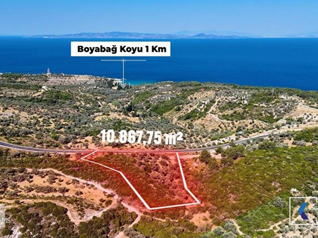 İzmir Merkez içerisinde satılık Tarla İzmir Merkez içerisinde satılık Tarla