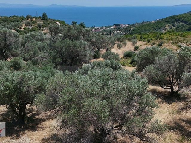 Kösedere Mahallesi, Karaburun içerisinde satılık Arsa