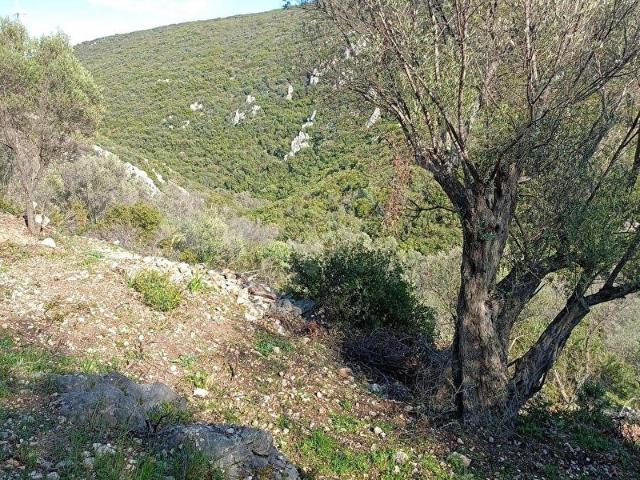 Karaburun, İzmir içerisinde satılık Arsa