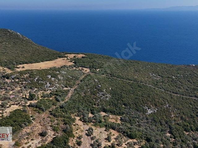 Anbarseki Mahallesi, Karaburun içerisinde satılık mülk