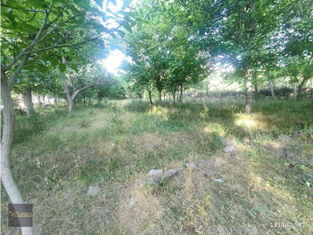 Melikgazi, Kayseri içerisinde satılık mülk