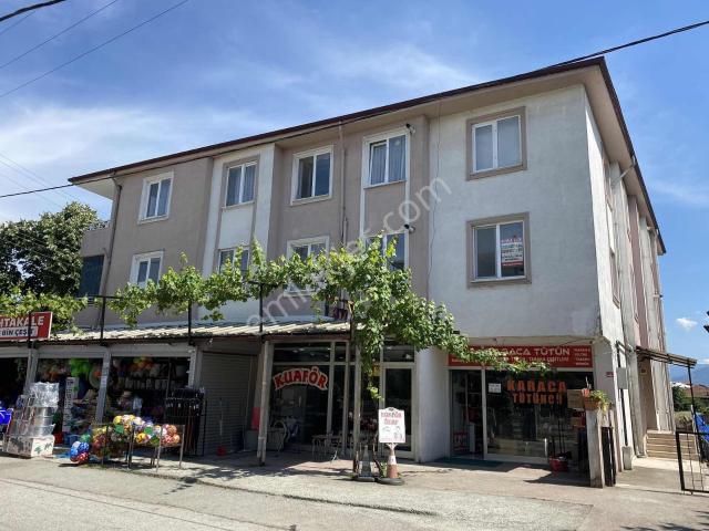 Düzce Merkez, Düzce içerisinde kiralık mülk