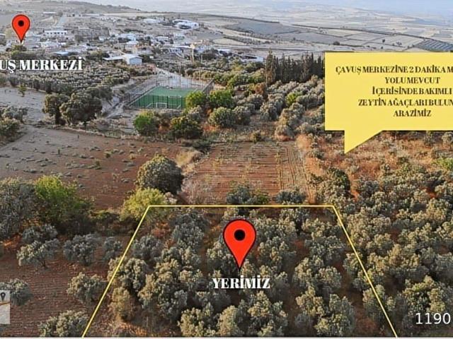 Karacabey, Bursa içerisinde satılık mülk