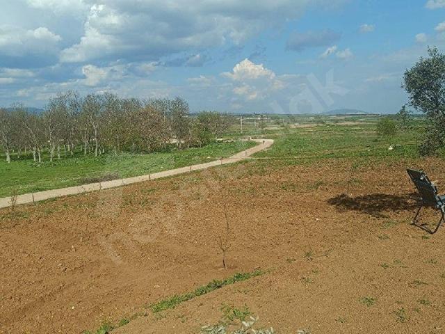 Karacabey, Bursa içerisinde satılık Arsa