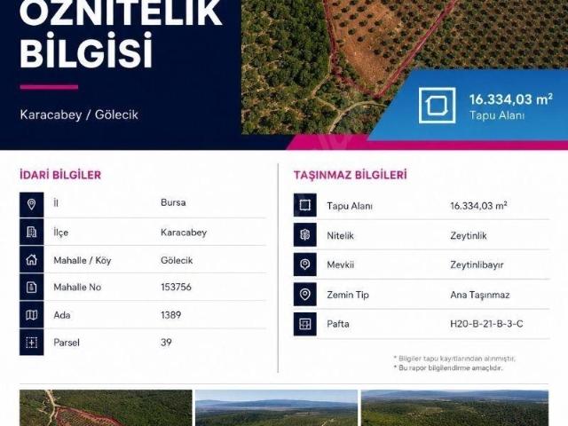 Karacabey, Bursa içerisinde satılık mülk
