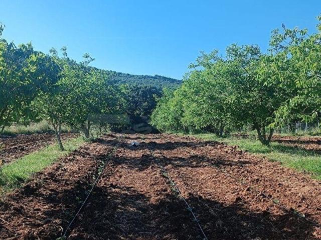 Karacabey, Bursa içerisinde satılık Arsa