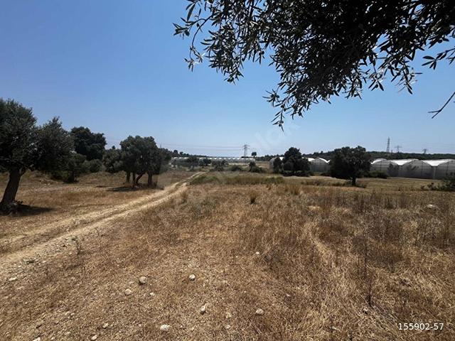 Manavgat, Antalya içerisinde satılık Arsa