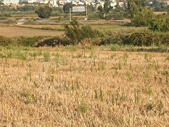 Kızılağaç, Manavgat içerisinde satılık Arsa