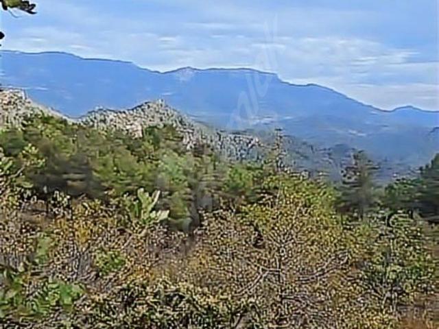 Kumluca, Antalya içerisinde satılık mülk