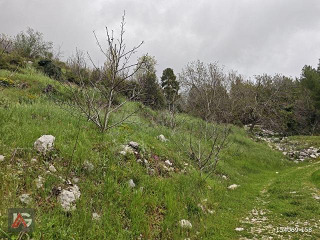 Kumluca, Antalya içerisinde satılık mülk