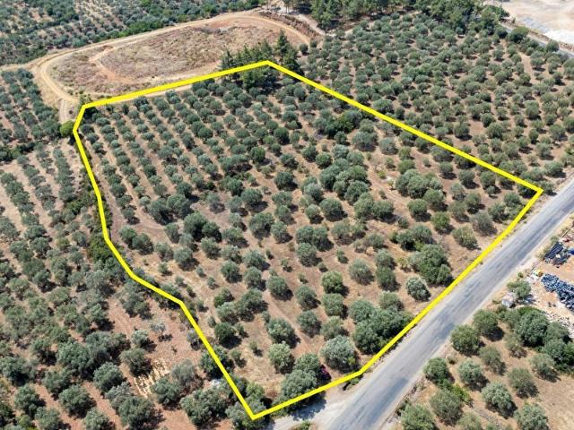 Yazır, Karacasu içerisinde satılık mülk